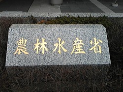 2009年1月26日農林水産省.jpg