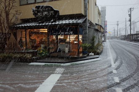 雪がとうとう降りました！