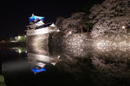 夜桜を堪能！