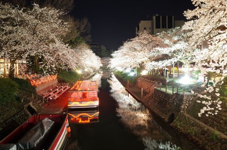 2014年4月7日花見2.jpg