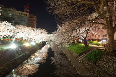 2014年4月7日花見3.jpg