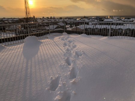 2018年2月8日大雪4.jpg