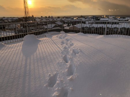 もう雪は降らないで欲しい！