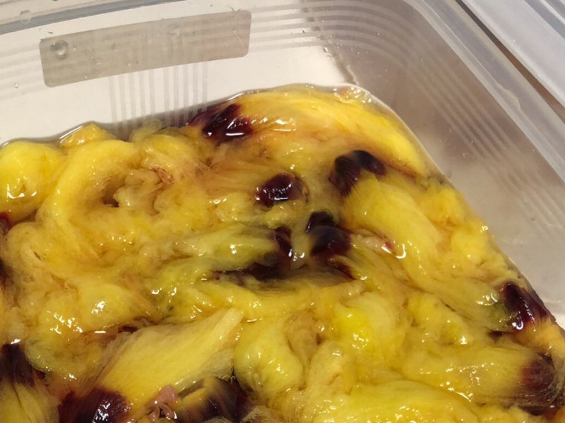 花オクラを美味しくいただきました 河内屋ブログ 鮨蒲本舗 河内屋