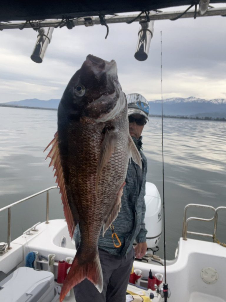 70cmオーバーの真鯛が釣れました！