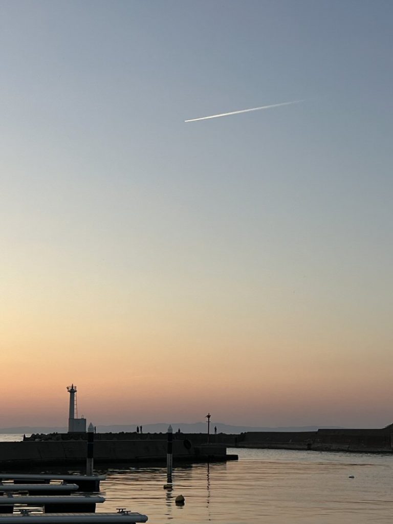 11月なのに夏日！暑い！