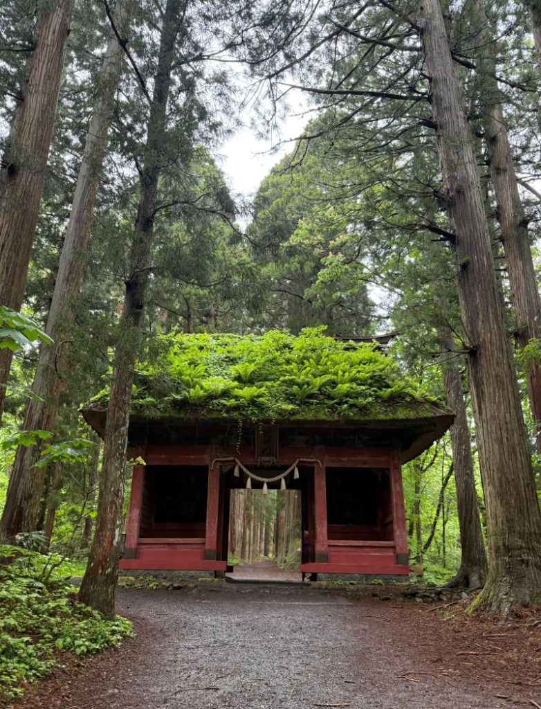 オークリーの御朱印紀行 〜戸隠と善光寺、祈りの道をともに歩く〜