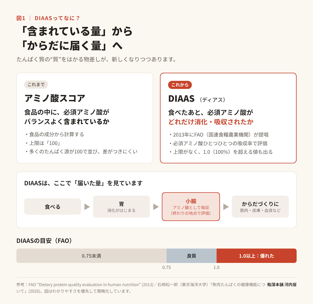 DIAAS(消化性必須アミノ酸スコア)とアミノ酸スコアの違いを説明する図