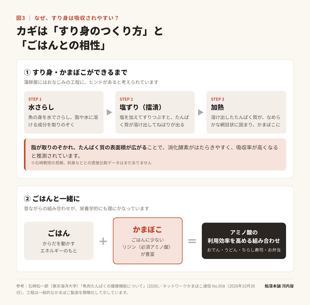 すり身が吸収されやすいと考えられる理由と、ごはんとかまぼこの組み合わせの図