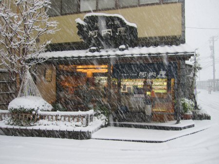 本格的に雪が降ってきました！