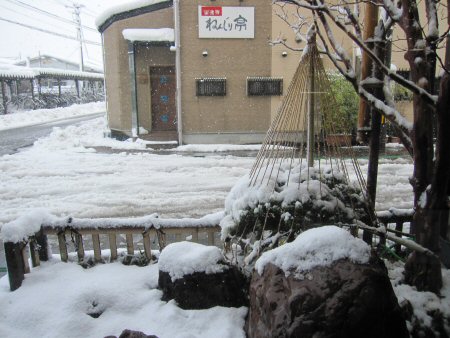 一晩で積雪