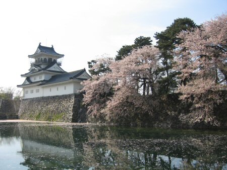 2009年4月12日富山桜1.JPG