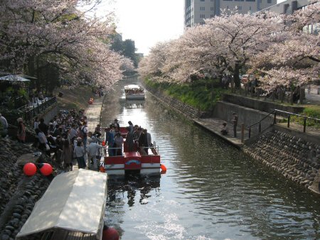 2009年4月12日富山桜3.JPG
