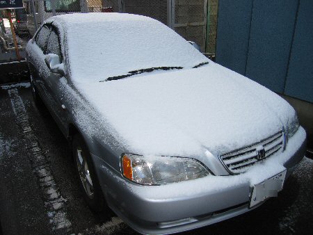 ３月末なのに雪