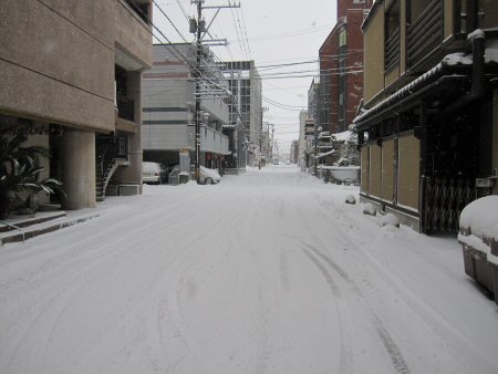 大寒波襲来ですが・・・