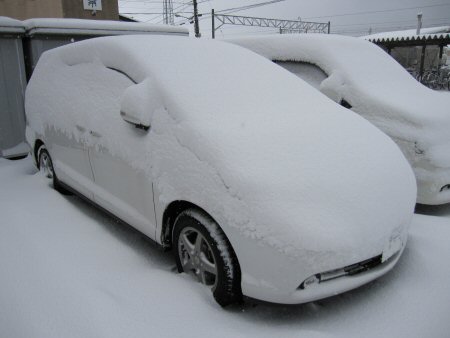 2011年1月16日雪2.jpg