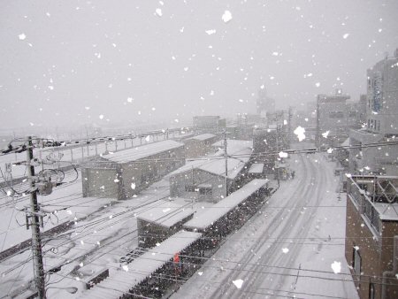 2011年1月20日大寒の朝.jpg