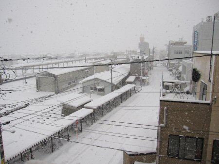 河内屋周辺も雪が…