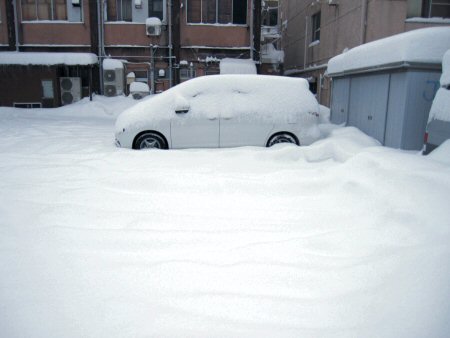 2011年1月31日大雪警報.jpg