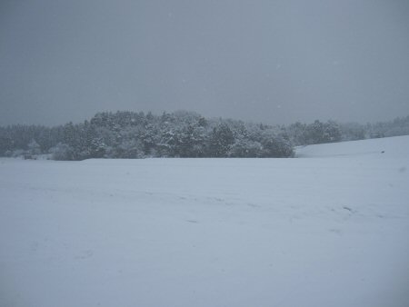 2011年1月6日呉西は大雪.jpg