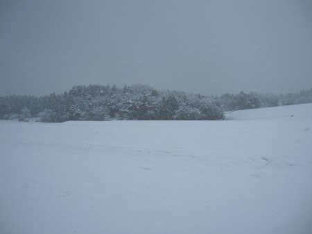 富山の西は大雪