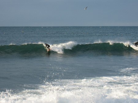 2011年1月8日魚津でサーフィン.jpg