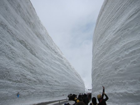 感動！雪の大谷！