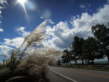 2013年10月9日台風24号影響.jpg